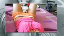 Funny videos of sexy girls & dogs for sextual fun scenes/Best of adult 18  funny fails