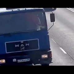 Chaton perdu sur l'autoroute