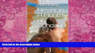 Big Deals  Never in A Month of Sundays  Best Seller Books Best Seller