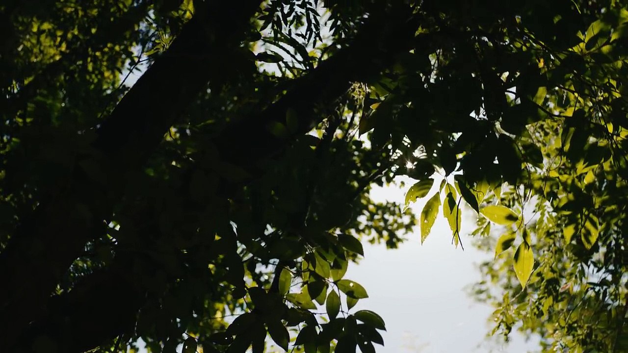 RIDSA - Porto Rico [Clip Officiel]