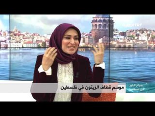 موسم حصاد الزيتون في فلسطين - حلقة 02/11/2016