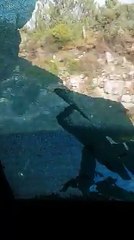 autocarro de adeptos do FC Porto apedrejado