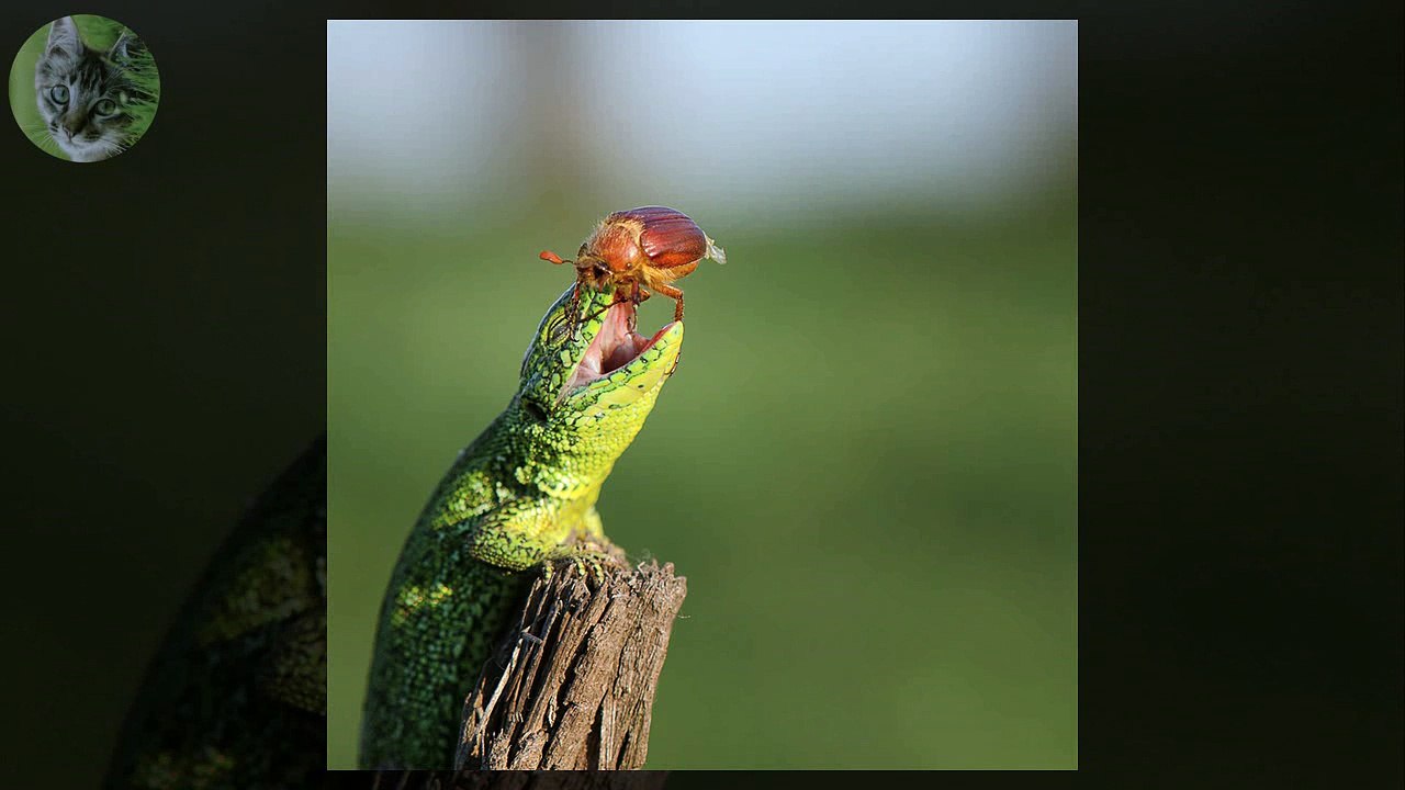 chad hatten DENVER DENVER DENVER DENVER chad hatten DENVER DENVER DENVER DENVER chad hatten DENVER DENVER DENVER DENVER