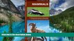 Must Have  Mammals: A Folding Pocket Guide to Familiar North American Species (Pocket Naturalist