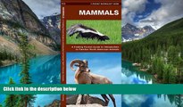 Must Have  Mammals: A Folding Pocket Guide to Familiar North American Species (Pocket Naturalist