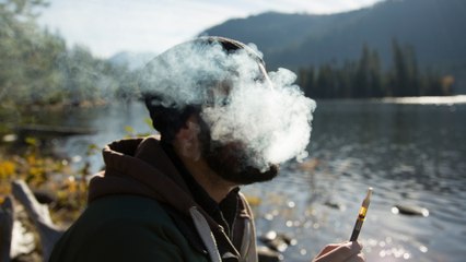 A Record Number of States Will Vote on Marijuana This Election