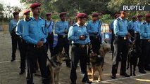 Cães policiais são celebrados no Nepal