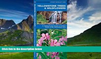 Big Deals  Yellowstone Trees   Wildflowers: A Folding Pocket Guide to Familiar Species of the