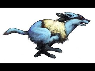 Nếu Pokemon vào vai động vật ngoài đời thực, trông chúng sẽ như thế nào? | Việt Vivu |