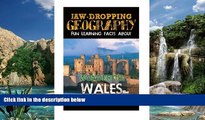 Books to Read  Jaw-Dropping Geography: Fun Learning Facts About Wonderful Wales: Illustrated Fun