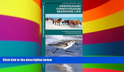 Must Have  Assateague/Chincoteague Seashore Life: A Folding Pocket Guide to Familiar Species