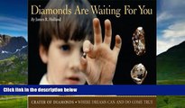 Big Deals  Diamonds Are Waiting For You: Crater of Diamonds, Where Dreams Can And Do Come True