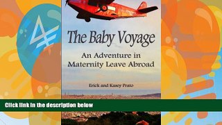 Books to Read  The Baby Voyage: An adventure in Maternity Leave Abroad  Best Seller Books Best