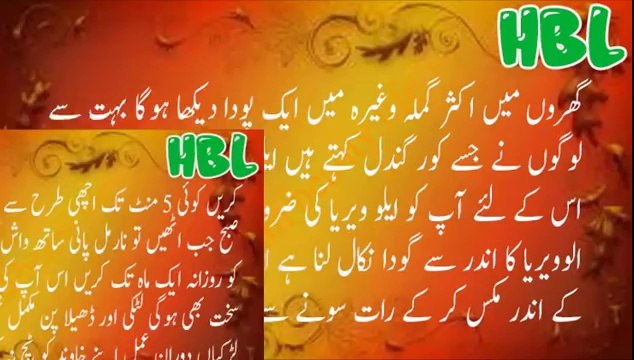 Breast ko sakht karne ke liye asan gharelu nuskha _ Gharelu totkay