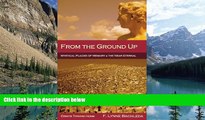 Big Deals  From the Ground Up: Mystical Places of Memory   the Near Eternal: Essays Toward Home