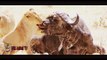 León vs Buffalo, Cocodrilo Ataques de Cebra y Gnu | Más Increíble de Animales Salvajes Ataques #24 PARTE 1