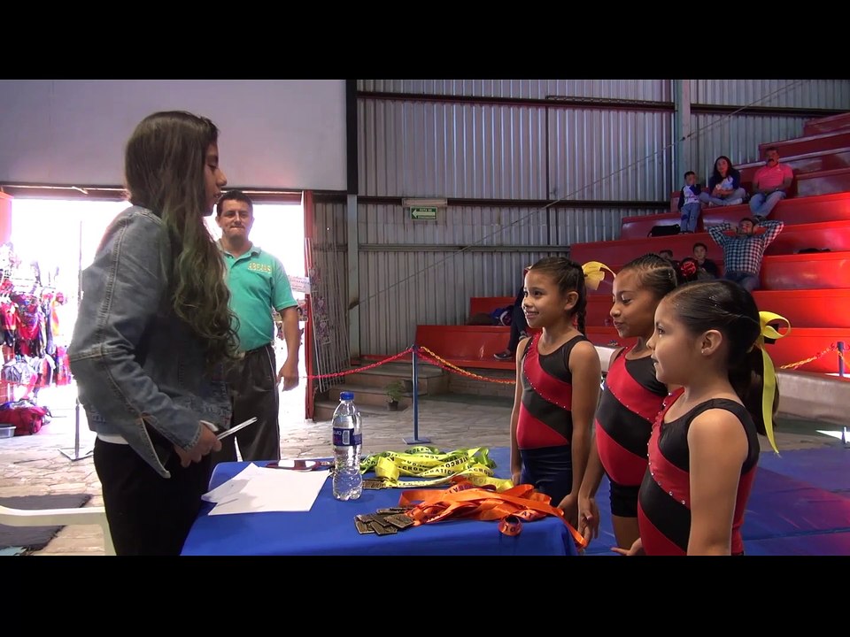 Escuela de gimnasia DivertyGYM en Guanajuato