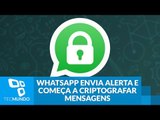 WhatsApp envia alerta e começa a criptografar mensagens