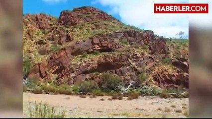 Il fait une découverte archéologique majeure en cherchant un endroit pour uriner