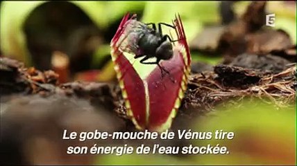 Facebook 686697554822367 - MP4