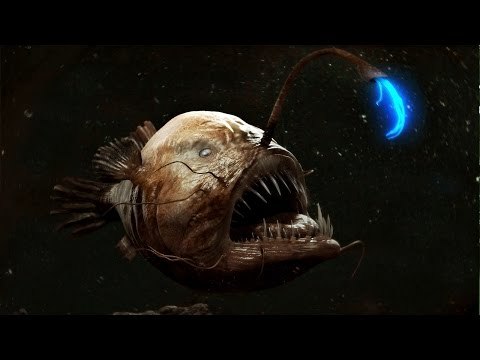 Top 10 Sinh Vật Kỳ Quái Nhất Dưới Đáy Biển | Việt Vivu |