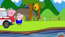 Peppa pig Crying Bees Sting Episodes New! Doctor Injects Finger Family Song Nursery Rhymes Song