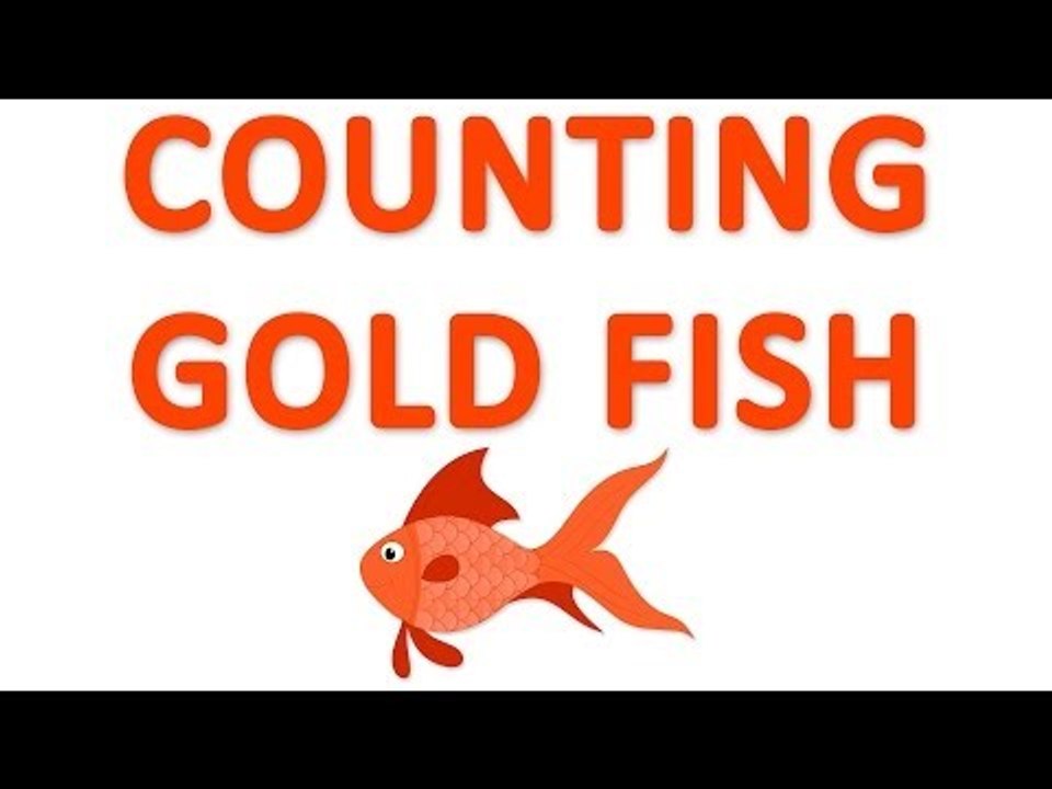 Counting Gold Fish