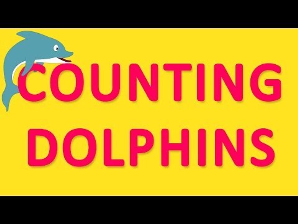 Counting Dolphins