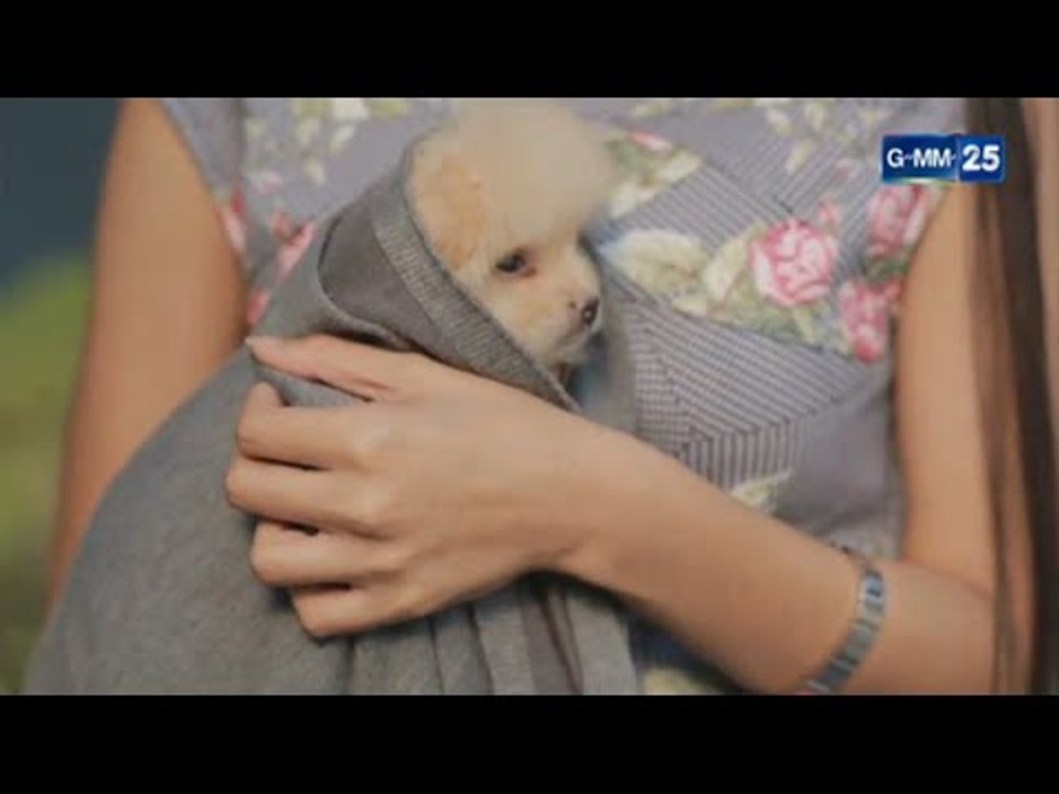 “Tình Yêu Không Có Lỗi 2” tập 10 : Lee hại chết cún yêu của Katun