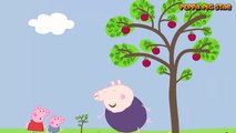 Peppa Pig em português - Peppa Pig - Growing Strawberries