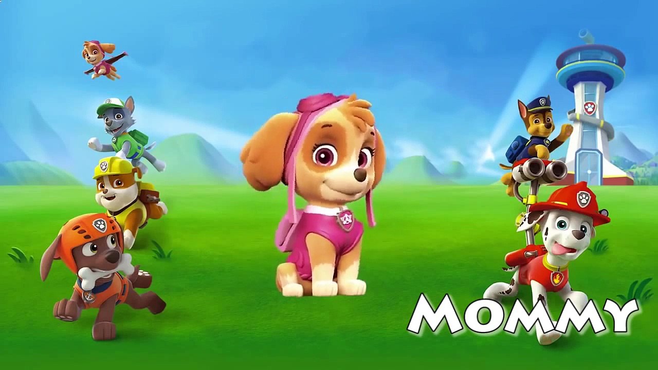 Paw Patrol Vol 5 Daddy Finger ✦ Finger Family ✦ Funny Animation Nursery Rhymes & Songs for Children