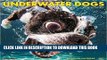 Best Seller Underwater Dogs 2017 Wall Calendar Free Read