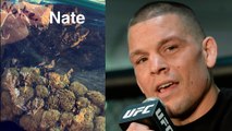 Nate Diaz Shows Bag Of Weed, Says He's Beat Conor McGregor at UFC 202