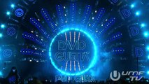 David Guetta Miami Ultra Music Festival 2014_3