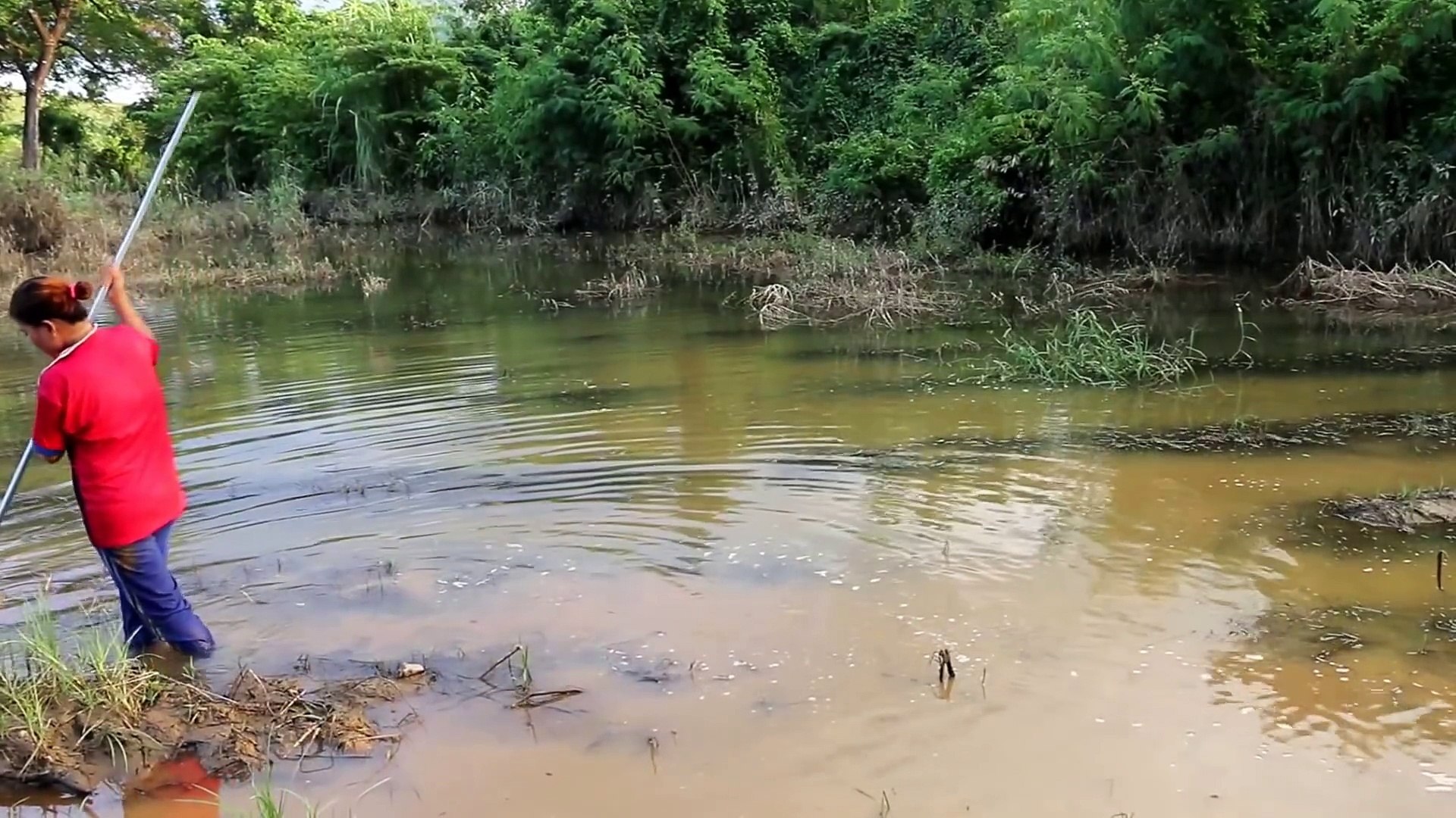 AMAZING Net Fishing - Traditional fishing 5