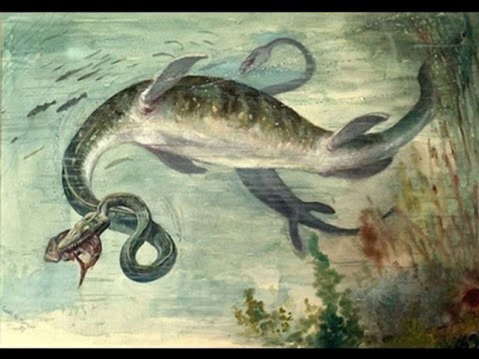 Top Những Động Vật Kì Quặc Từng Thống Trị Trái Đất | Việt Vivu |