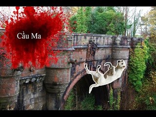 Top 10 cây cầu ma ám mà đi qua bạn sẽ sởn gai ốc | Việt Vivu |