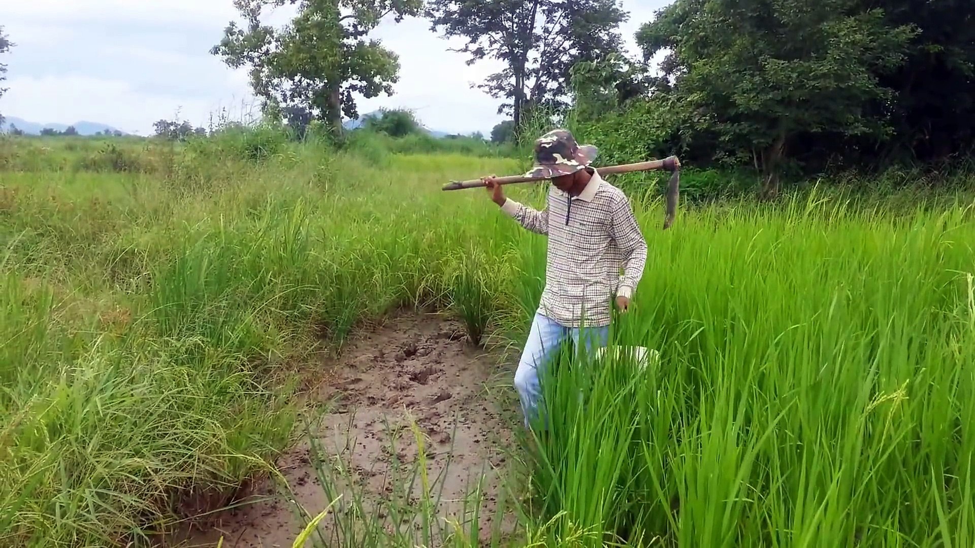 AMAZING Net Fishing - Traditional fishing 8