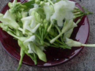 Lorocos, a Traditional Flower for Typical Dishes from El Salvador in Central America
