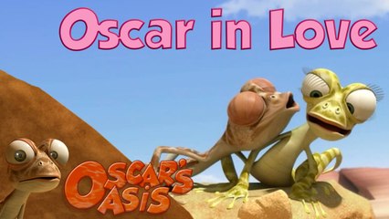 Oscar's Oasis - FALLING IN LOVE - Funny Animal Videos 1080p [Full HD]