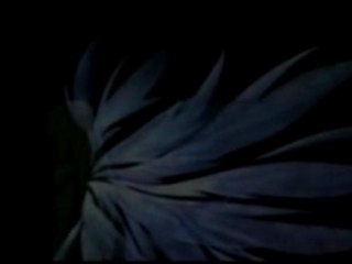 [I-F]Tales of Symphonia Opening