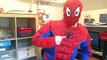 FROZEN ELSA vs HUGE SPIDER!! - Spiderman PRANKS Elsa - Superhero Fun Movie