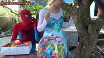 Spiderman Elsa Frozen Venom Theft wrong Toys Anna Princess Captain Fun superheroes in real life