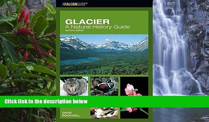 Deals in Books  Glacier: A Natural History Guide (Falcon Guide)  Premium Ebooks Online Ebooks