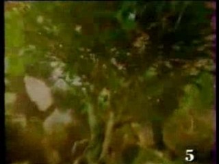 Générique Paris-Dakar La 5 - 1991