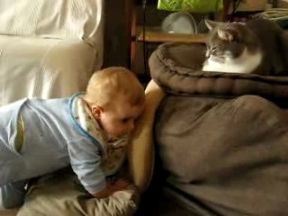 Elléa fait calin au chat