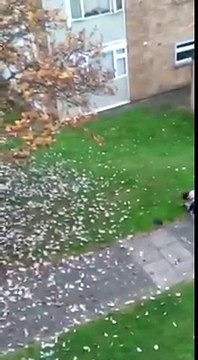 This Fight Has It All! None Shall Pass!