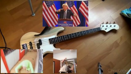 Reprise de Gorillaz avec des bruits de vidéos virales !