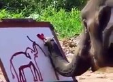 Acest elefant, desenează mai bine ca tine! Ești pregătit să vezi?