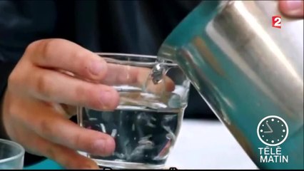 Where to invade next de Michael Moore